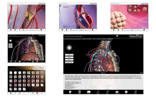 Visible Body 3D Heart and Circulatory Premium 2 v2.0 Mac OS X
