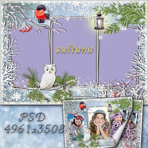 Winter Frame for Photoshop - Winter came bullfinches arrived