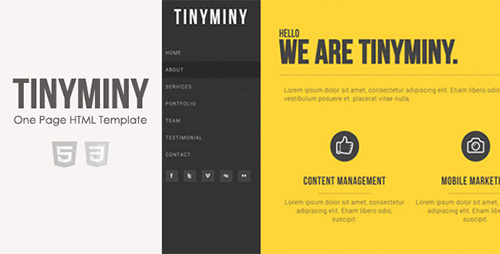 ThemeForest - TinyMiny One Page Responsive HTML Template - RIP