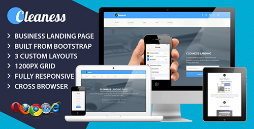 ThemeForest - Cleaness Responsive Business Landing Page - RIP