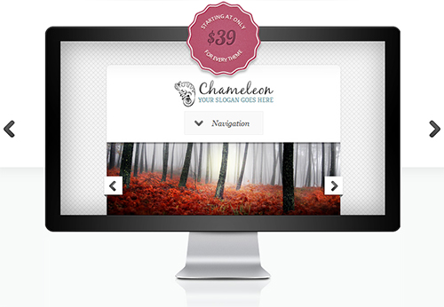 ElegantThemes - Chameleon v3.6 - WordPress Theme