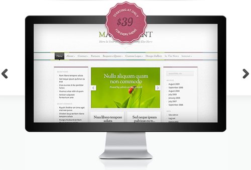 ElegantThemes - Magnificent v3.4 - WordPress Theme