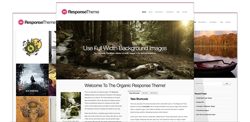 OrganicThemes - Response v1.1.2 - WordPress Theme