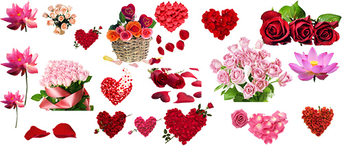 PSD Cliparts - Romantic Flowers 2013