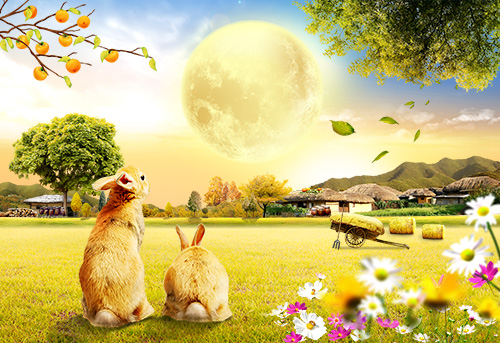 PSD Source - Rabbits on a lawn in the Village
