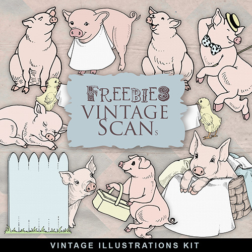 Scrap-kit - Pig Story PNG Illustrations