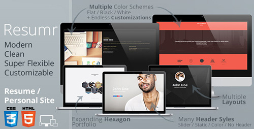 ThemeForest - Resumr - Modern, Clean and Flexible Resume - RIP