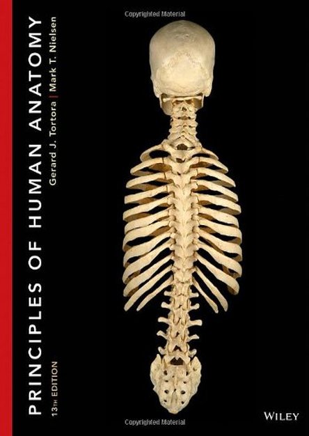 Principles of Human Anatomy (13th Edition)