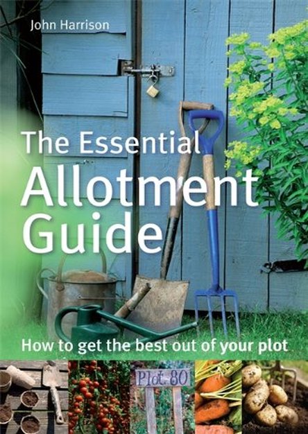 Essential Allotment Guide: How to Get the Best Out of Your Plot