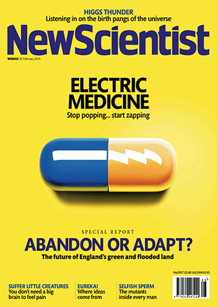 New Scientist - 22 February 2014