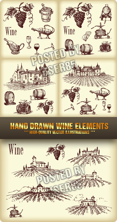 Stock Vector - Hand Drawn Wine Elements