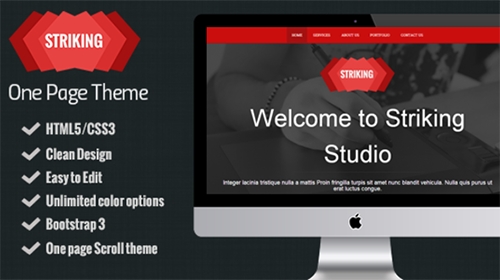Mojo-Themes - Striking - One page Responsive HTML5 template - RIP