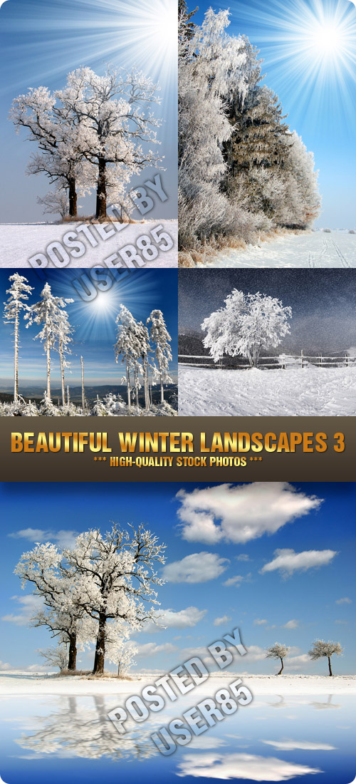 Stock Photo - Beautiful Winter Landscapes 3