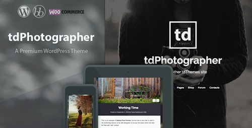 ThemeForest - tdPhotographer v1.1 - WordPress Theme