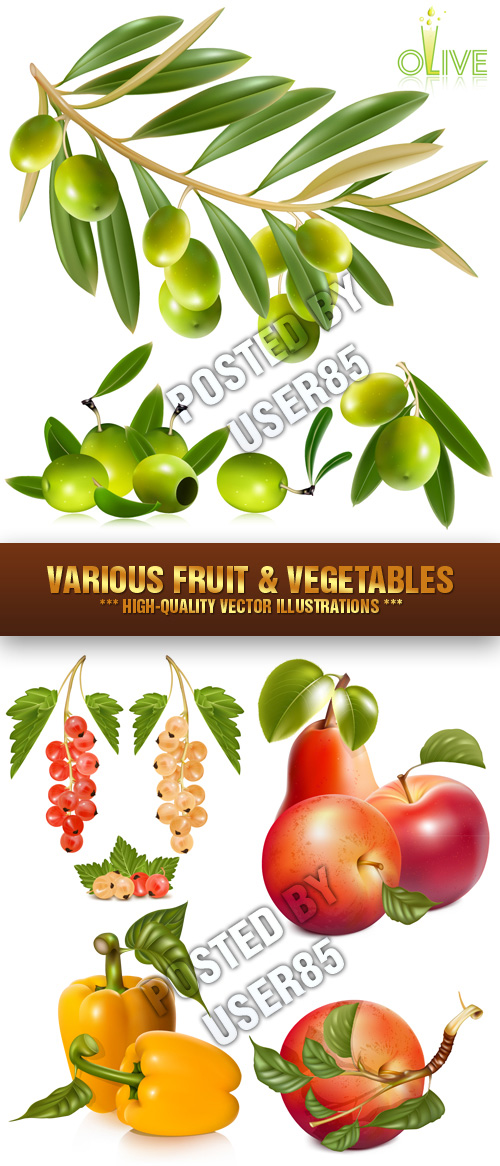 Stock Vector - Various Fruit & Vegetables