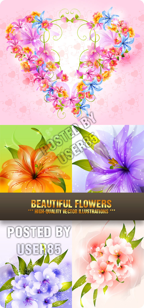 Stock Vector - Beautiful Flowers