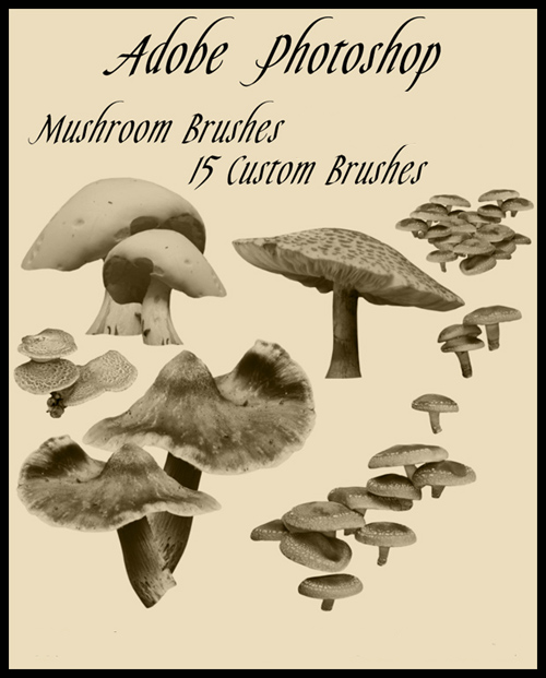 Brushes for Photoshop - Mushrooms