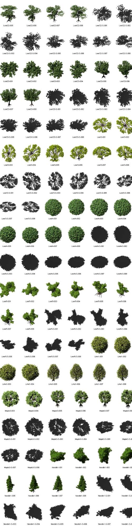 DOSCH 2D - Viz-Images: Bird's Eye - Trees