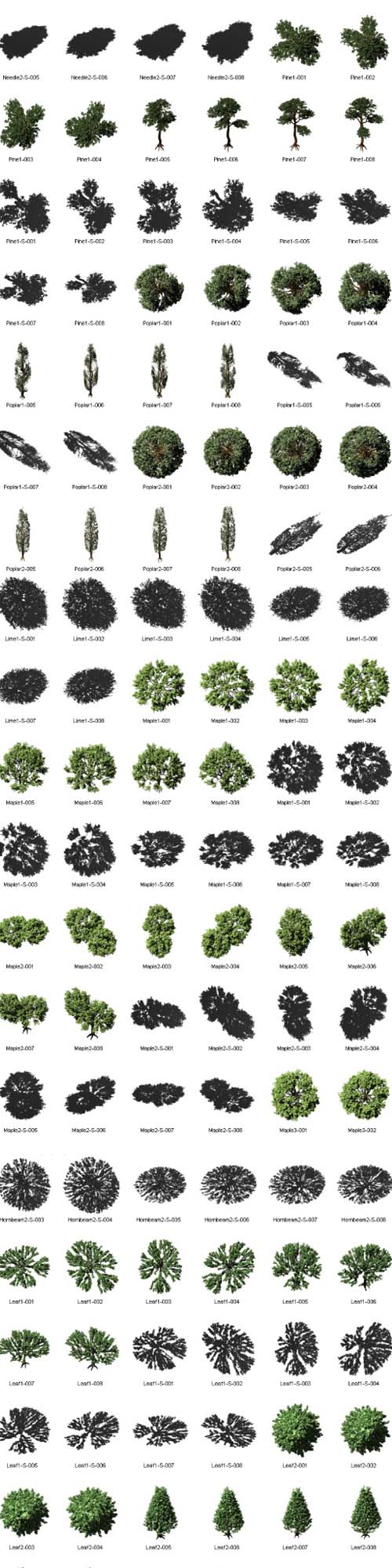 DOSCH 2D - Viz-Images: Bird's Eye - Trees