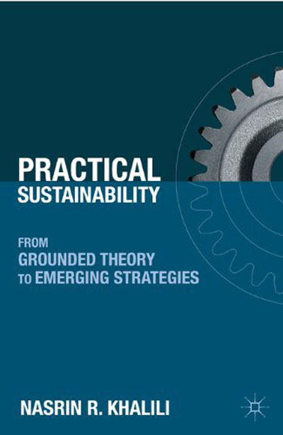 Practical Sustainability: From Grounded Theory to Emerging Strategies