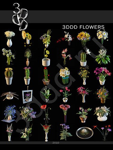 3DDD Models Flowers Collection
