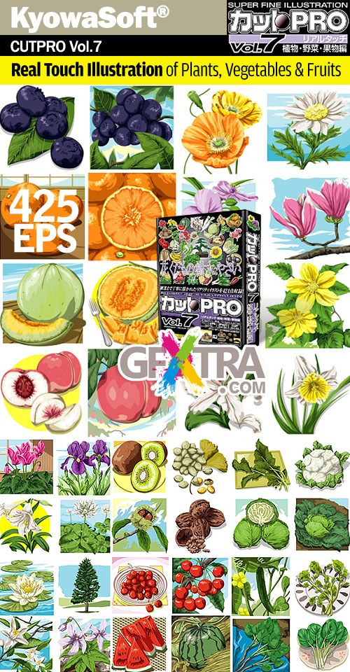 KyowaSoft CutPro Vol.7 Real Touch Illustrations of Plants, Vegetables & Fruits 424xEPS