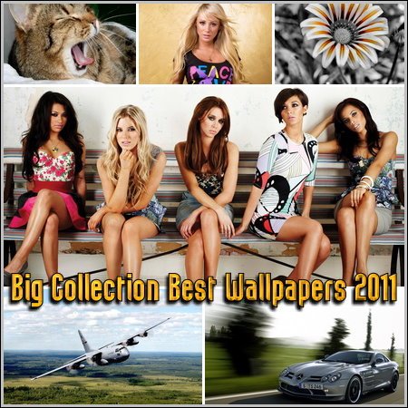 Big Collection Best Wallpapers 2011