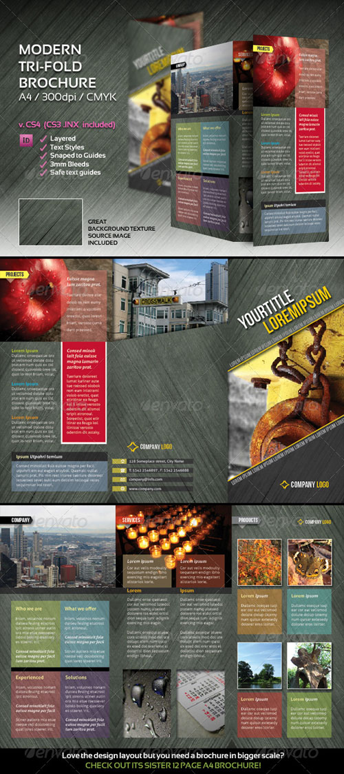 GraphicRiver - Modern Tri-Fold Brochure